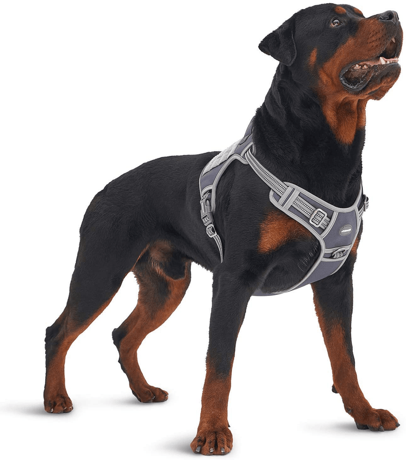 Auroth Tactical Dog Harness for Small Medium Large Dogs No Pull Adjustable Pet Harness Reflective K9 Working Training Easy Control Pet Vest Military Service Dog Harnesses Animals & Pet Supplies > Pet Supplies > Dog Supplies Auroth Pets Grey XL(Neck:20-31",Chest:26-42") 