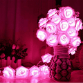 Avanti 20 Led Battery Operated Romantic String Rose Flower Fairy Lamp Light Outdoor for Valentine'S Day, Christmas, Wedding, Room, Garden, Patio, Party Festival Decor (Hot Pink) Home & Garden > Decor > Seasonal & Holiday Decorations Avanti Hot Pink  