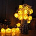 Avanti 20 Led Battery Operated Romantic String Rose Flower Fairy Lamp Light Outdoor for Valentine'S Day, Christmas, Wedding, Room, Garden, Patio, Party Festival Decor (Hot Pink) Home & Garden > Decor > Seasonal & Holiday Decorations Avanti Yellow  