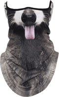 AXBXCX 3D Animal Neck Gaiter Warmer Windproof Face Mask Scarf for Ski Halloween Costume  AXBXCX Funny Racoon  