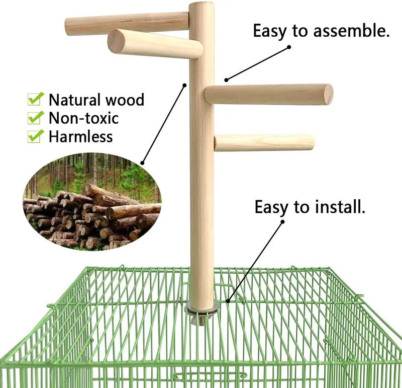 Parakeet Perch,Bird Natural Wood Stand,Parrot Cage Top Wooden Branches for Standing,Toys for Small Medium Parrots Conure Budgie Lovebirds Animals & Pet Supplies > Pet Supplies > Bird Supplies Hamiledyi   
