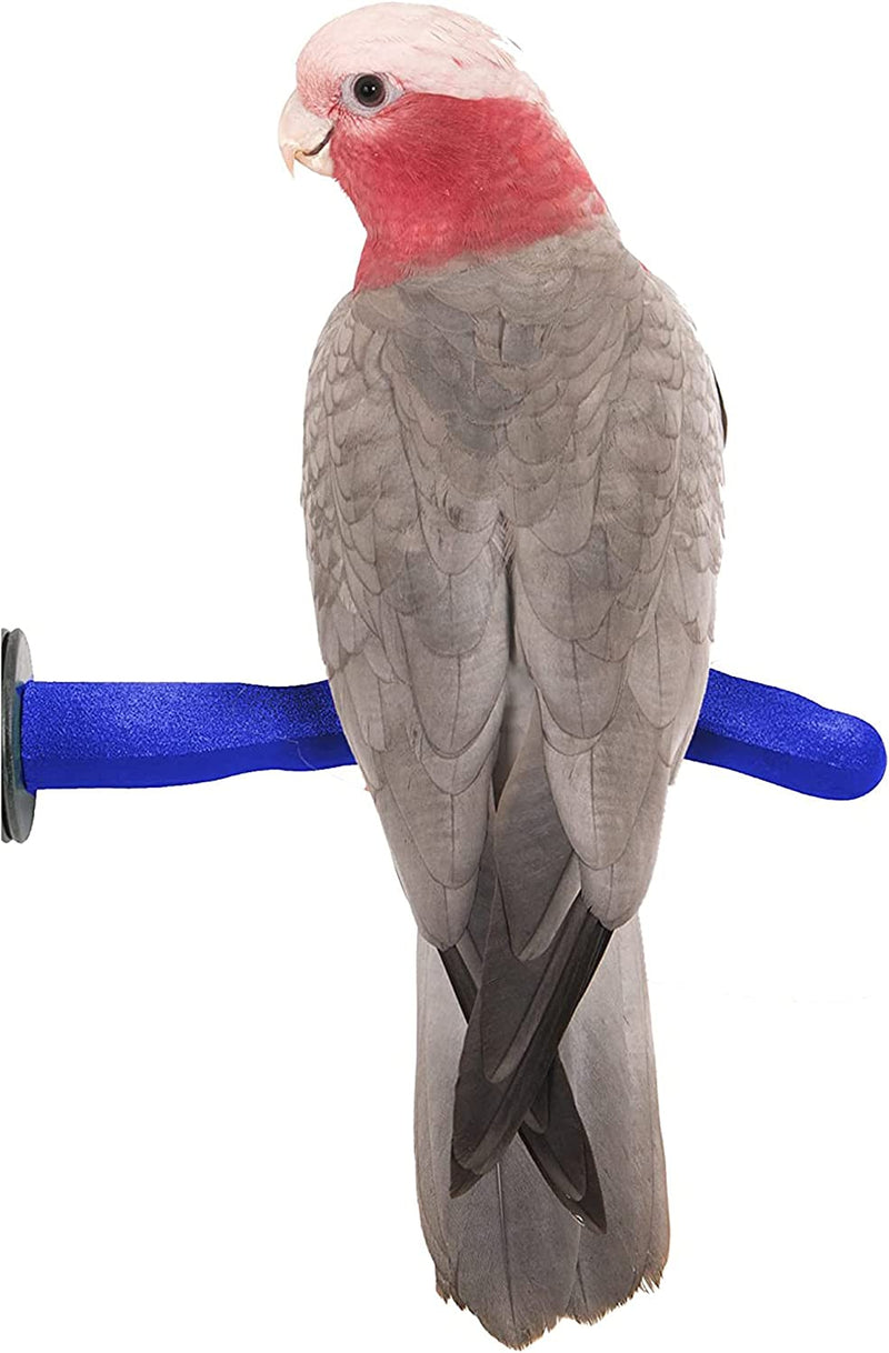 Sweet Feet and Beak Safety Pumice Perch Bird Toy - Trims Nails and Beak - Promotes Healthy Feet - Safe Non-Toxic Bird Supplies for Bird Cages - Medium 10" Animals & Pet Supplies > Pet Supplies > Bird Supplies > Bird Toys Sweet Feet and Beak Purple Medium 12" 