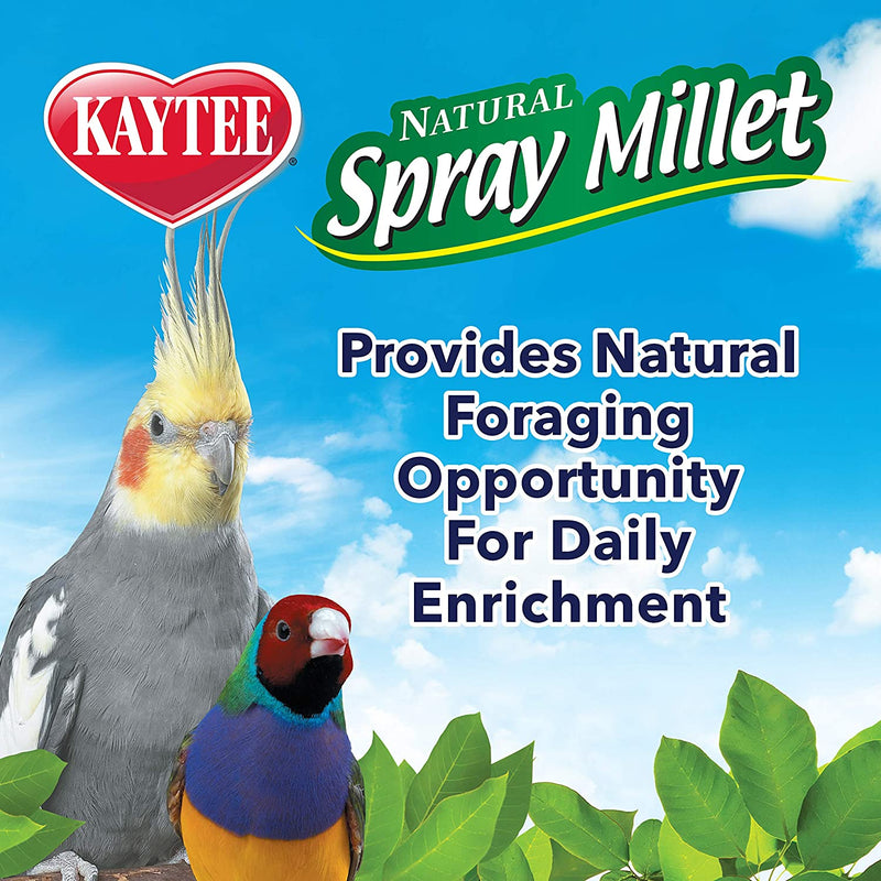 Kaytee Spray Millet Treat for Pet Birds, 7 Ounce Animals & Pet Supplies > Pet Supplies > Bird Supplies > Bird Food Central Garden & Pet   