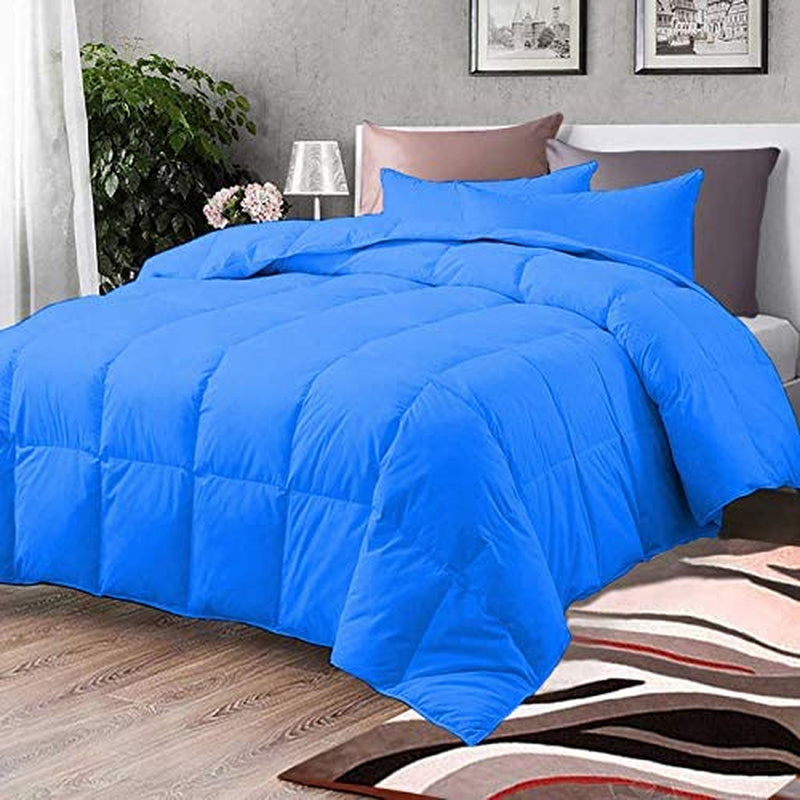 Comforter Bed Set - All Season Chocolate down Alternative Quilted Comforter Bed Set - 100% Cotton 800 Thread Count - Duvet Insert or Stand Alone Comforter - 3 Pcs Set - Oversized Queen Home & Garden > Linens & Bedding > Bedding > Quilts & Comforters BSC Collection Turquoise Oversized Queen 