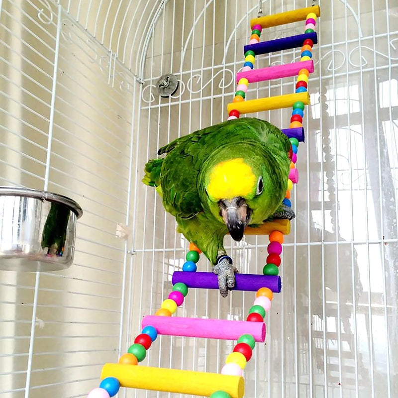 Bird Parrot Toys Ladders Swing Chewing Toys Hanging Pet Bird Cage Accessories Hammock Swing Toy for Small Parakeets Cockatiels, Lovebirds, Conures, Macaws, Lovebirds, Finches (12 Ladders) Animals & Pet Supplies > Pet Supplies > Bird Supplies > Bird Toys CoCogo 10 Bird Ladders  