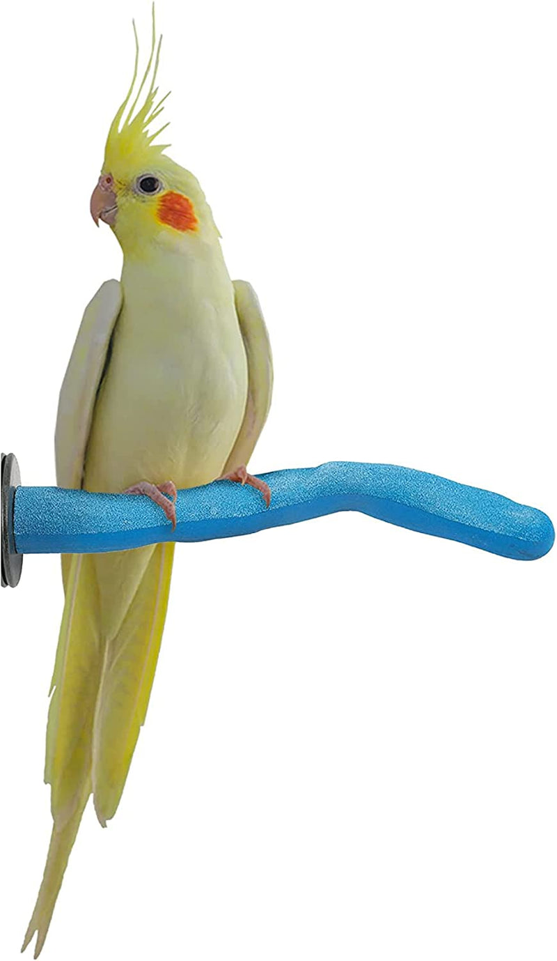 Sweet Feet and Beak Safety Pumice Perch Bird Toy - Trims Nails and Beak - Promotes Healthy Feet - Safe Non-Toxic Bird Supplies for Bird Cages - Medium 10" Animals & Pet Supplies > Pet Supplies > Bird Supplies > Bird Toys Sweet Feet and Beak Blue Small 8" 