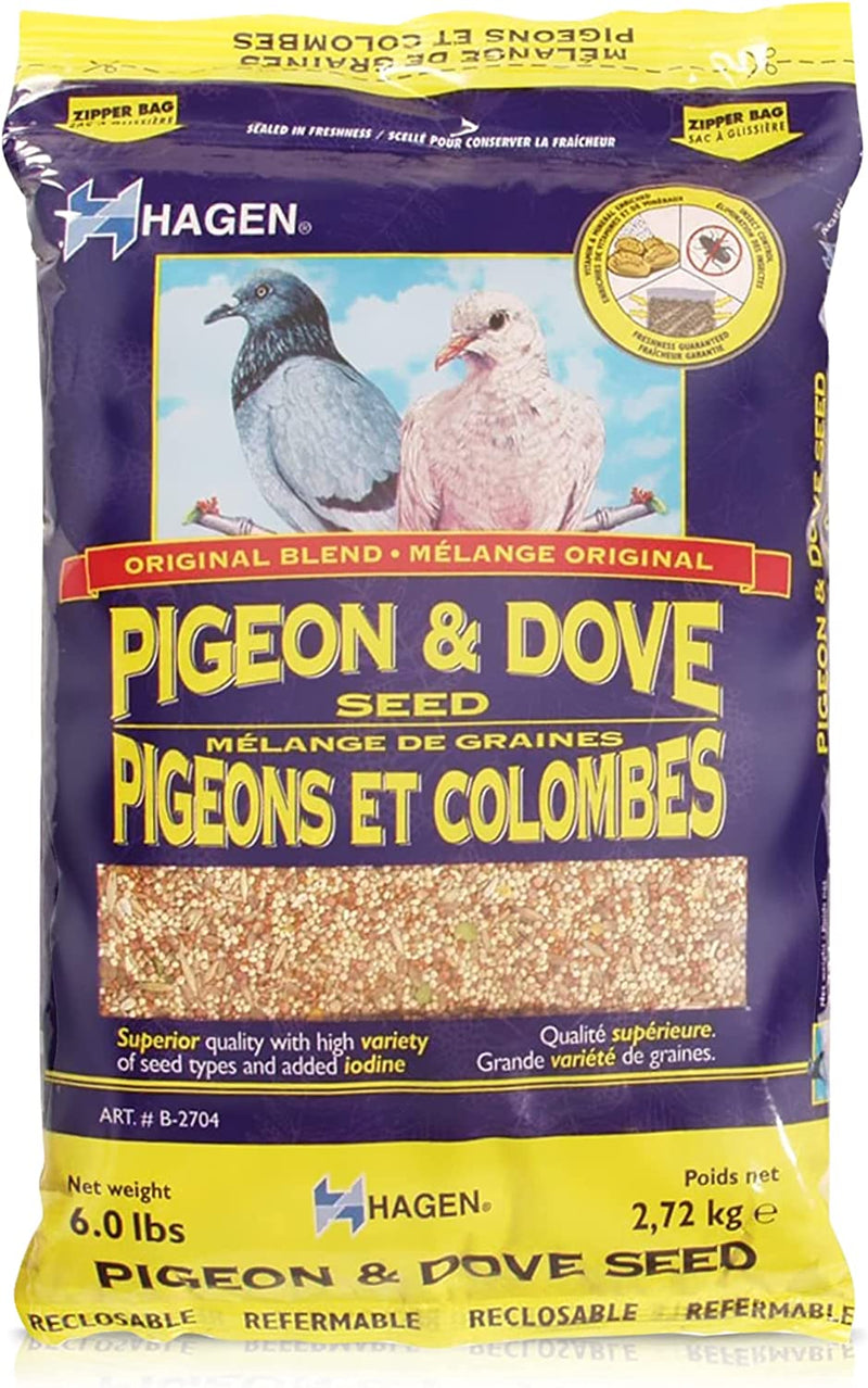 Hagen Pigeon & Dove Seed, Nutritionally Complete Bird Food Animals & Pet Supplies > Pet Supplies > Bird Supplies > Bird Food Rolf C. Hagen (USA) Corp. Bird Food 6 Pound (Pack of 1) 