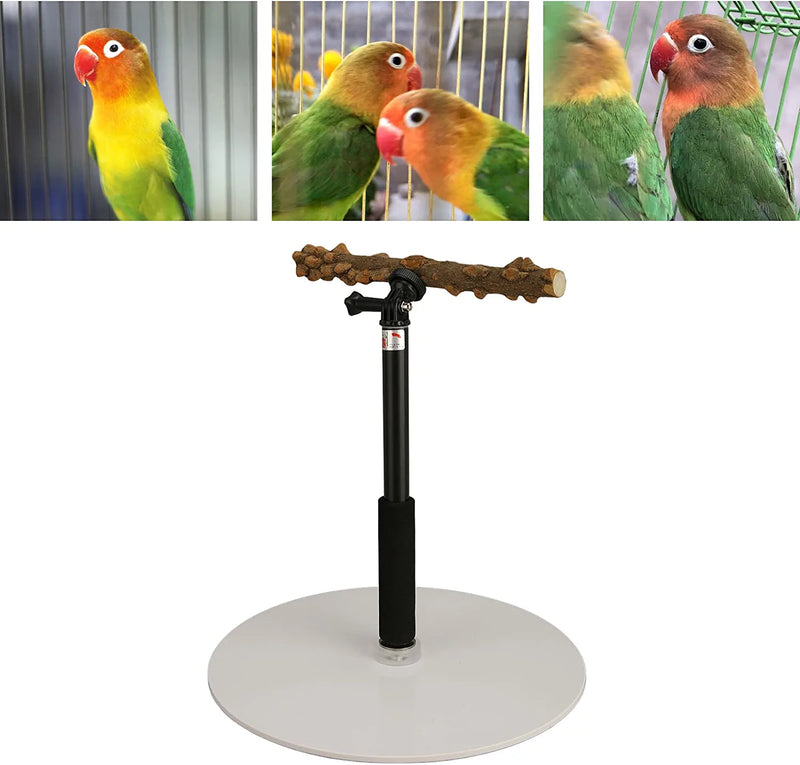 Parrot Training Perch Stand, Portable Detachable Adjustable Height Tabletop Bird Training Stand for Parakeets Conures Lovebirds or Cockatiels, Natural Pepper Wood Perch Accessories for Indoor and Out Animals & Pet Supplies > Pet Supplies > Bird Supplies Panv   