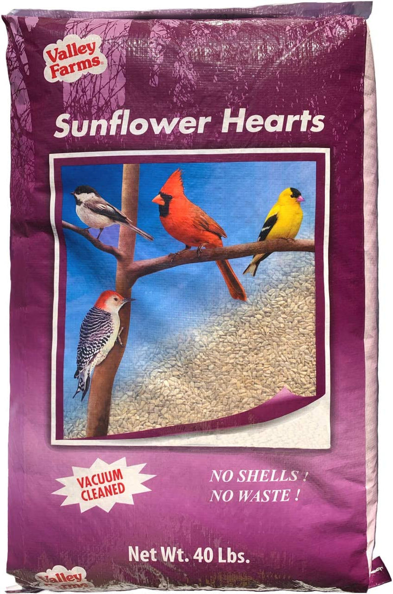 Valley Farms Sunflower Hearts Wild Bird Food - 15 Lbs Animals & Pet Supplies > Pet Supplies > Bird Supplies > Bird Food Truffa Seed Co., Inc. 40 LBS  