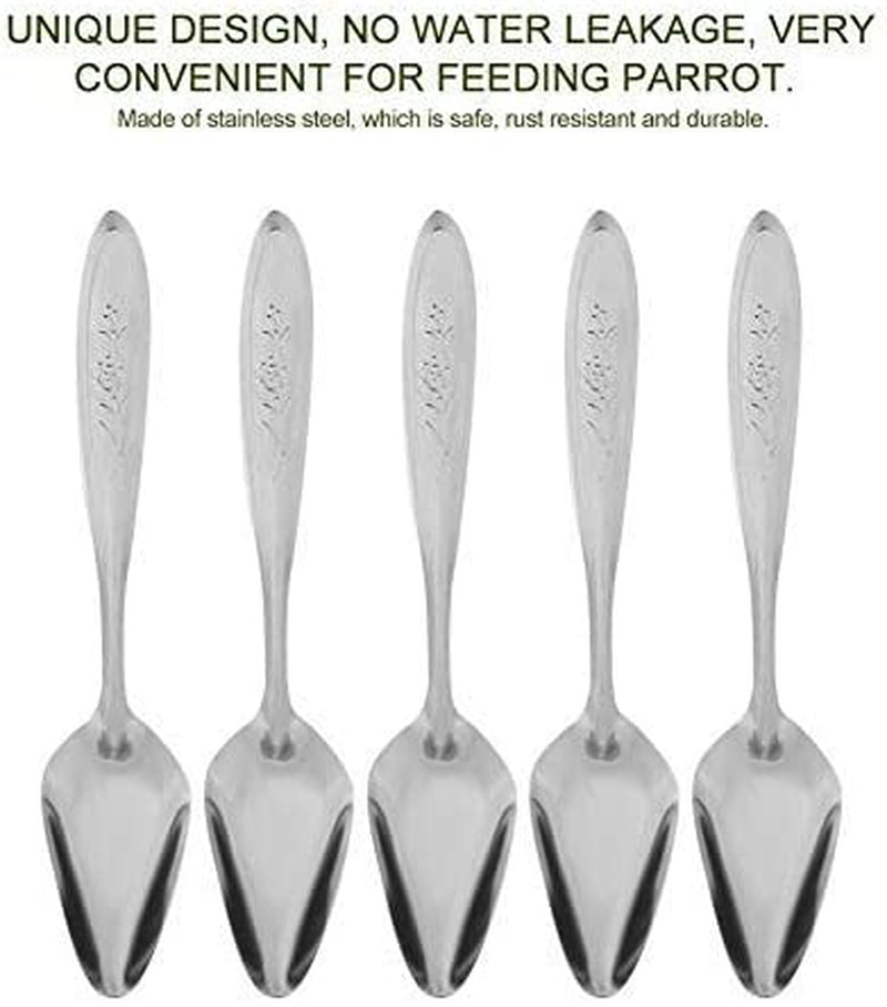 5Pcs Parrot'S Milk Powder Stainless Steel Spoon for Pet Birds Feeding Spoons Animals & Pet Supplies > Pet Supplies > Bird Supplies > Bird Cage Accessories > Bird Cage Food & Water Dishes Fdit   