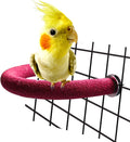 Rypet Parrot Perch Rough-Surfaced - Quartz Sands Bird Cage Perches for Medium to Large Bird, U Shape Large Animals & Pet Supplies > Pet Supplies > Bird Supplies RYPET Bird perch(Red)  