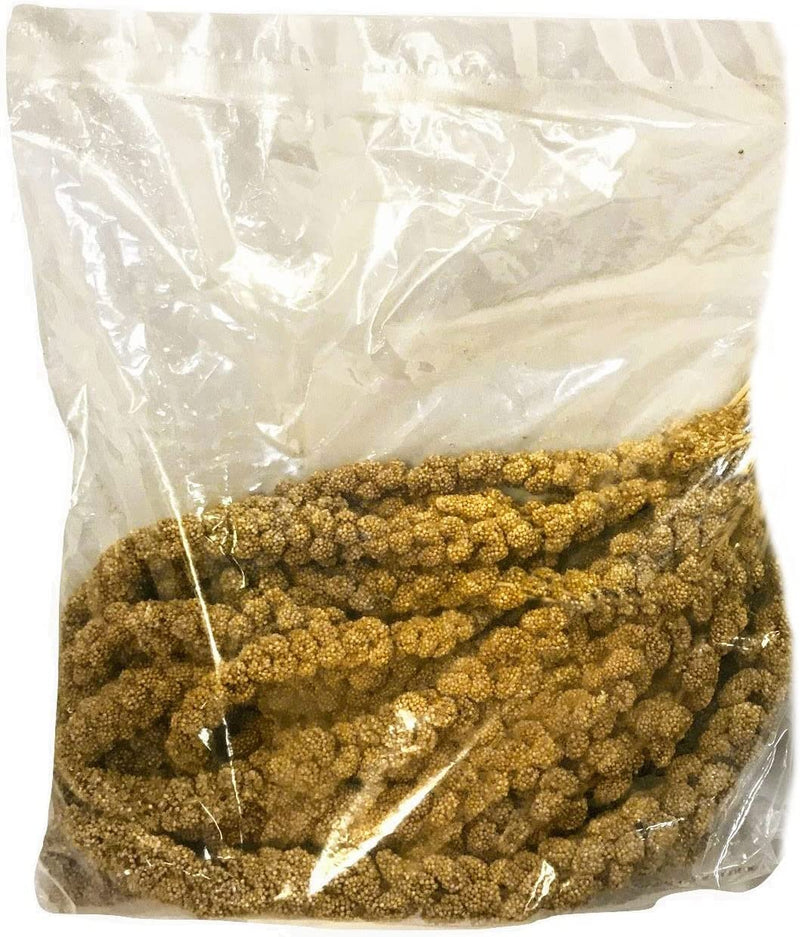 Nemeth Farms Worlds Freshest Sun-Dried Spray Millet GMO and Pesticide Free (No Stems Only Edible Tops) Original Bird Treat and Supplement for All Pet Birds Parakeets, Cockatiels and Finches - 1Lb Animals & Pet Supplies > Pet Supplies > Bird Supplies > Bird Food Nemeth Farms 1 Pound (Pack of 1)  