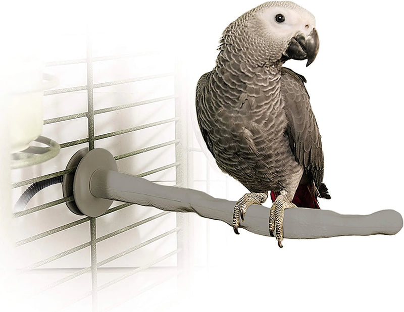 K&H PET PRODUCTS Thermo-Perch Heated Bird Perch Gray Small 1 X 10.5 Inches & Kaytee Spray Millet Treat for Pet Birds, 7 Ounce Animals & Pet Supplies > Pet Supplies > Bird Supplies K&H PET PRODUCTS Recyclable Box Large 2 X 14.5 Inches 