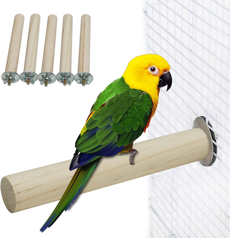 Endearingtails 5 Pack Birdcage Stand (Natural Color), Natural Wood Perch Toys for Small Parrot, like Parakeets, Lovebirds, Cockatiels Animals & Pet Supplies > Pet Supplies > Bird Supplies EndearingTails   