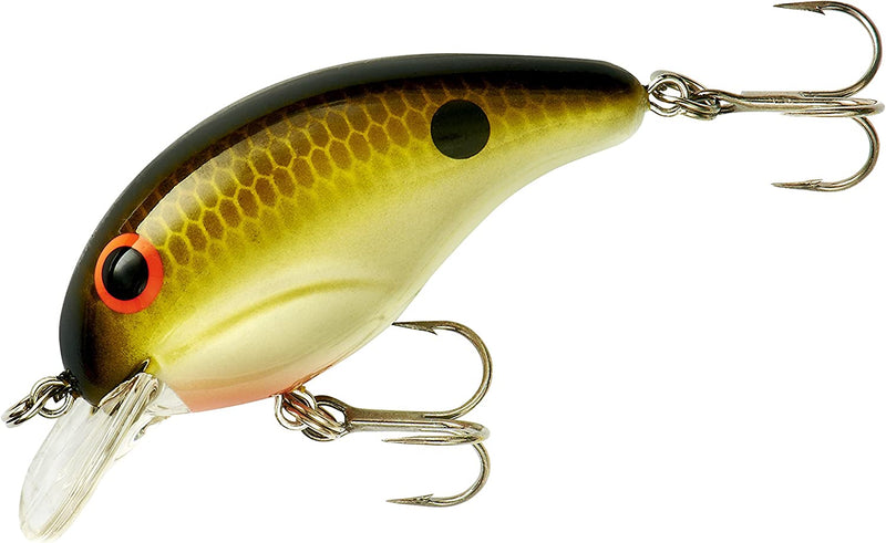 Bandit Series 100 Crankbait Bass Fishing Lures, Dives to 5-Feet Deep, 2 Inches, 1/4 Ounce Sporting Goods > Outdoor Recreation > Fishing > Fishing Tackle > Fishing Baits & Lures Pradco Outdoor Brands Tennessee Shad  