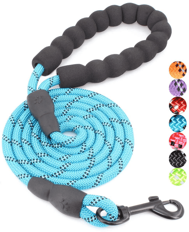 BAAPET 2/4/5/6 FT Strong Dog Leash with Comfortable Padded Handle and Highly Reflective Threads for Small Medium and Large Dogs Animals & Pet Supplies > Pet Supplies > Dog Supplies BAAPET Blue 1/3'' x 5 FT (0~18 lbs.) 