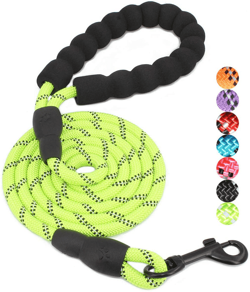 BAAPET 2/4/5/6 FT Strong Dog Leash with Comfortable Padded Handle and Highly Reflective Threads for Small Medium and Large Dogs Animals & Pet Supplies > Pet Supplies > Dog Supplies BAAPET Green 1/3'' x 5 FT (0~18 lbs.) 