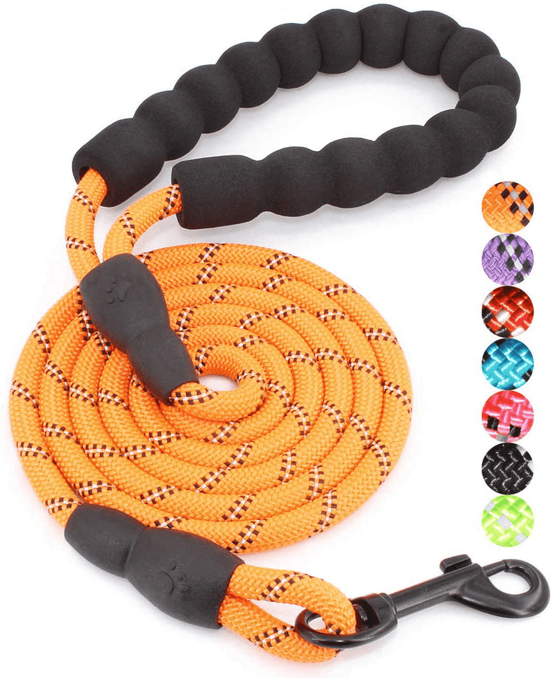 BAAPET 2/4/5/6 FT Strong Dog Leash with Comfortable Padded Handle and Highly Reflective Threads for Small Medium and Large Dogs Animals & Pet Supplies > Pet Supplies > Dog Supplies BAAPET Orange 1/3'' x 5 FT (0~18 lbs.) 