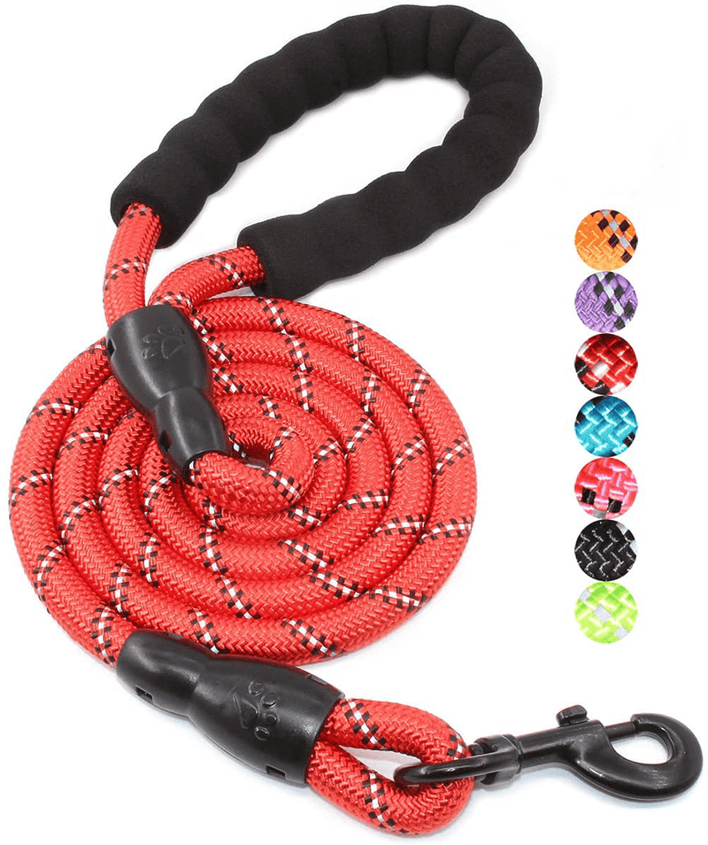 BAAPET 2/4/5/6 FT Strong Dog Leash with Comfortable Padded Handle and Highly Reflective Threads for Small Medium and Large Dogs Animals & Pet Supplies > Pet Supplies > Dog Supplies BAAPET Red 1/2'' x 5 FT (18~120 lbs.) 