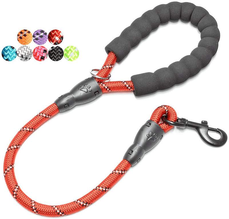 BAAPET 2/4/5/6 FT Strong Dog Leash with Comfortable Padded Handle and Highly Reflective Threads for Small Medium and Large Dogs Animals & Pet Supplies > Pet Supplies > Dog Supplies BAAPET Red 1/2'' x 2 FT (18~120 lbs.) 