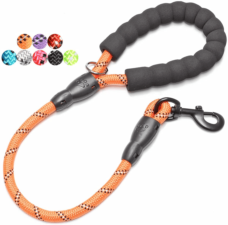 BAAPET 2/4/5/6 FT Strong Dog Leash with Comfortable Padded Handle and Highly Reflective Threads for Small Medium and Large Dogs Animals & Pet Supplies > Pet Supplies > Dog Supplies BAAPET Orange 1/2'' x 2 FT (18~120 lbs.) 