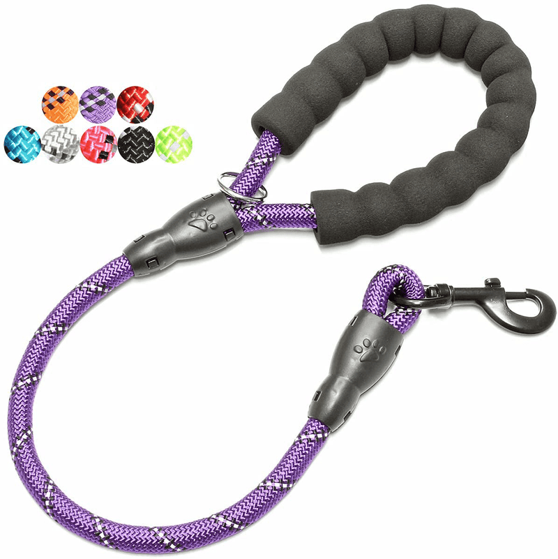 BAAPET 2/4/5/6 FT Strong Dog Leash with Comfortable Padded Handle and Highly Reflective Threads for Small Medium and Large Dogs Animals & Pet Supplies > Pet Supplies > Dog Supplies BAAPET Purple 1/2'' x 2 FT (18~120 lbs.) 