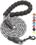 BAAPET 2/4/5/6 FT Strong Dog Leash with Comfortable Padded Handle and Highly Reflective Threads for Small Medium and Large Dogs Animals & Pet Supplies > Pet Supplies > Dog Supplies BAAPET Grey 1/3'' x 5 FT (0~18 lbs.) 