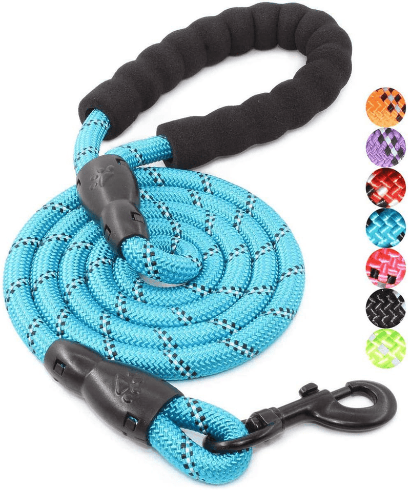 BAAPET 2/4/5/6 FT Strong Dog Leash with Comfortable Padded Handle and Highly Reflective Threads for Small Medium and Large Dogs Animals & Pet Supplies > Pet Supplies > Dog Supplies BAAPET Blue 1/2'' x 5 FT (18~120 lbs.) 