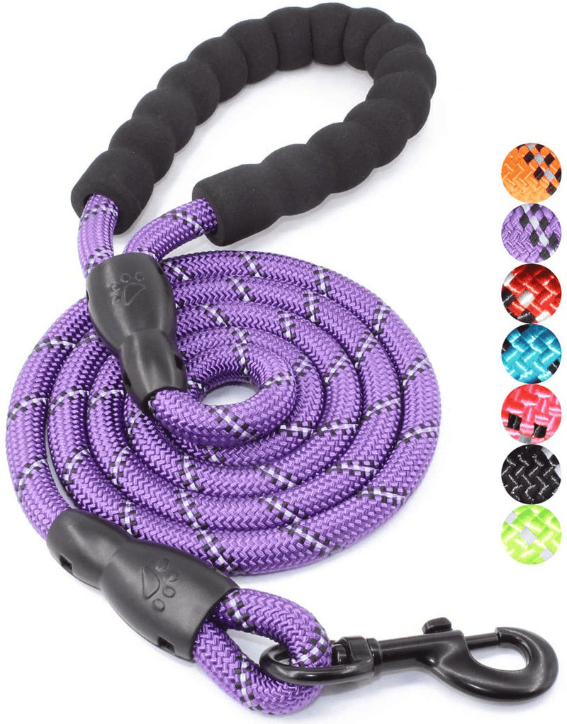 BAAPET 2/4/5/6 FT Strong Dog Leash with Comfortable Padded Handle and Highly Reflective Threads for Small Medium and Large Dogs Animals & Pet Supplies > Pet Supplies > Dog Supplies BAAPET Purple 1/2'' x 5 FT (18~120 lbs.) 