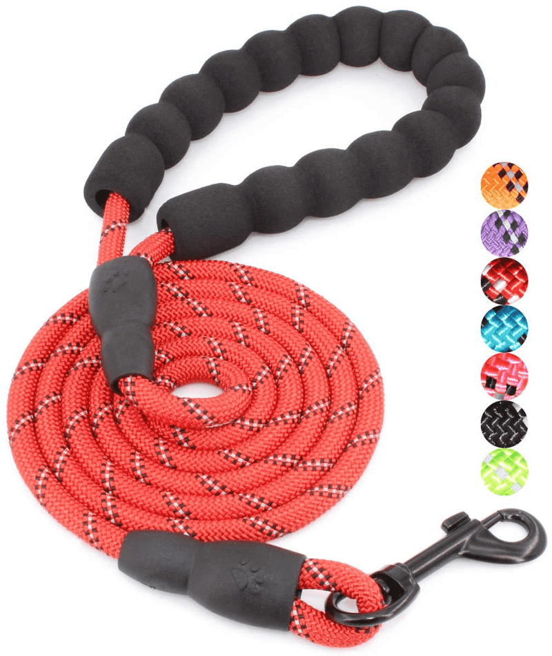BAAPET 2/4/5/6 FT Strong Dog Leash with Comfortable Padded Handle and Highly Reflective Threads for Small Medium and Large Dogs Animals & Pet Supplies > Pet Supplies > Dog Supplies BAAPET Red 1/3'' x 5 FT (0~18 lbs.) 