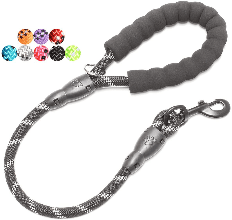 BAAPET 2/4/5/6 FT Strong Dog Leash with Comfortable Padded Handle and Highly Reflective Threads for Small Medium and Large Dogs Animals & Pet Supplies > Pet Supplies > Dog Supplies BAAPET Black 1/2'' x 2 FT (18~120 lbs.) 