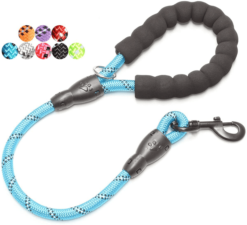 BAAPET 2/4/5/6 FT Strong Dog Leash with Comfortable Padded Handle and Highly Reflective Threads for Small Medium and Large Dogs Animals & Pet Supplies > Pet Supplies > Dog Supplies BAAPET Blue 1/2'' x 2 FT (18~120 lbs.) 