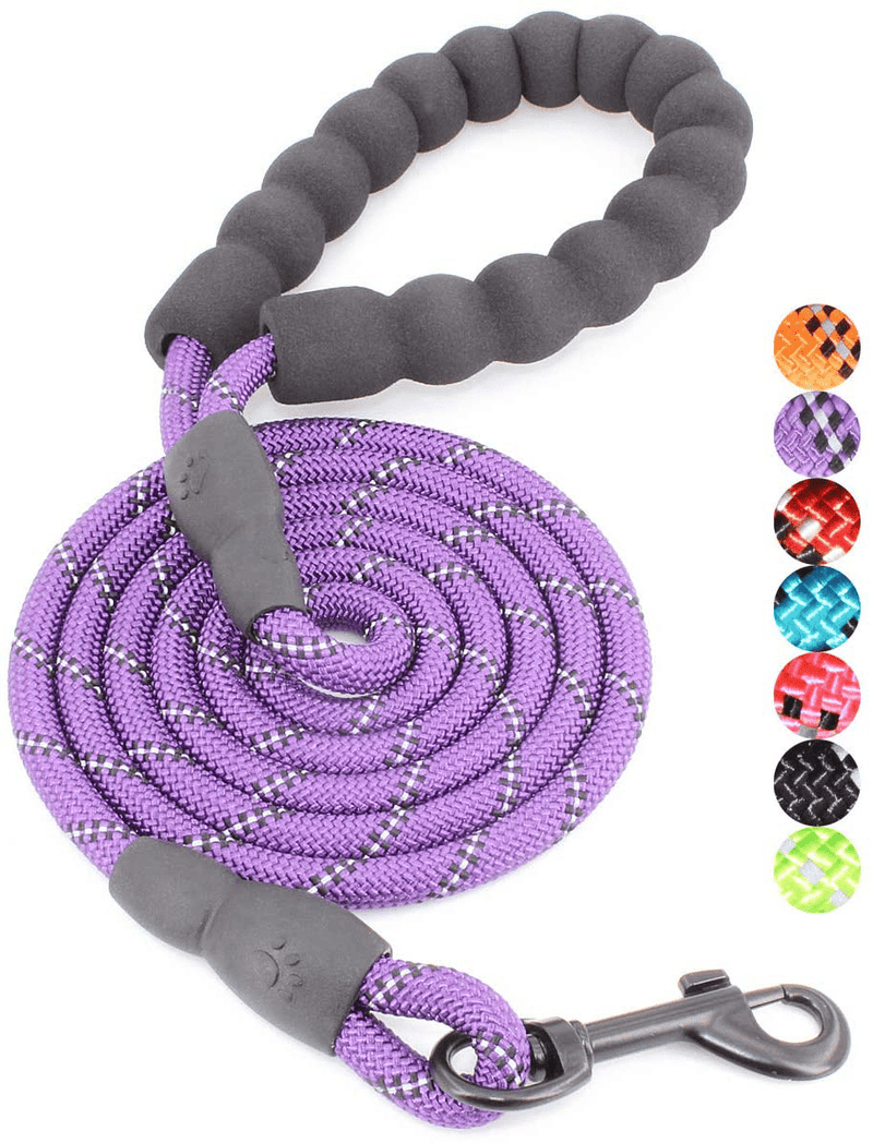 BAAPET 2/4/5/6 FT Strong Dog Leash with Comfortable Padded Handle and Highly Reflective Threads for Small Medium and Large Dogs Animals & Pet Supplies > Pet Supplies > Dog Supplies BAAPET Purple 1/3'' x 5 FT (0~18 lbs.) 