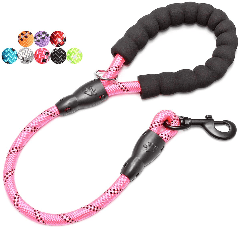 BAAPET 2/4/5/6 FT Strong Dog Leash with Comfortable Padded Handle and Highly Reflective Threads for Small Medium and Large Dogs Animals & Pet Supplies > Pet Supplies > Dog Supplies BAAPET Pink 1/2'' x 2 FT (18~120 lbs.) 