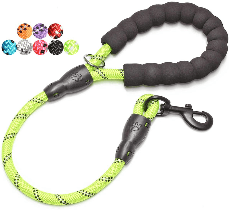 BAAPET 2/4/5/6 FT Strong Dog Leash with Comfortable Padded Handle and Highly Reflective Threads for Small Medium and Large Dogs Animals & Pet Supplies > Pet Supplies > Dog Supplies BAAPET Green 1/2'' x 2 FT (18~120 lbs.) 