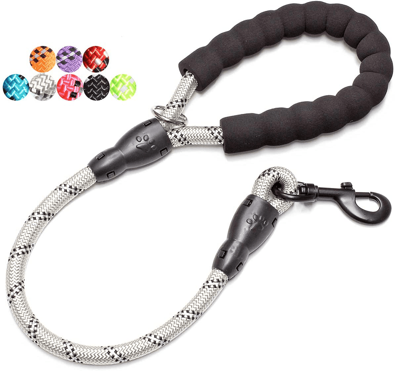 BAAPET 2/4/5/6 FT Strong Dog Leash with Comfortable Padded Handle and Highly Reflective Threads for Small Medium and Large Dogs Animals & Pet Supplies > Pet Supplies > Dog Supplies BAAPET Silver 1/2'' x 2 FT (18~120 lbs.) 
