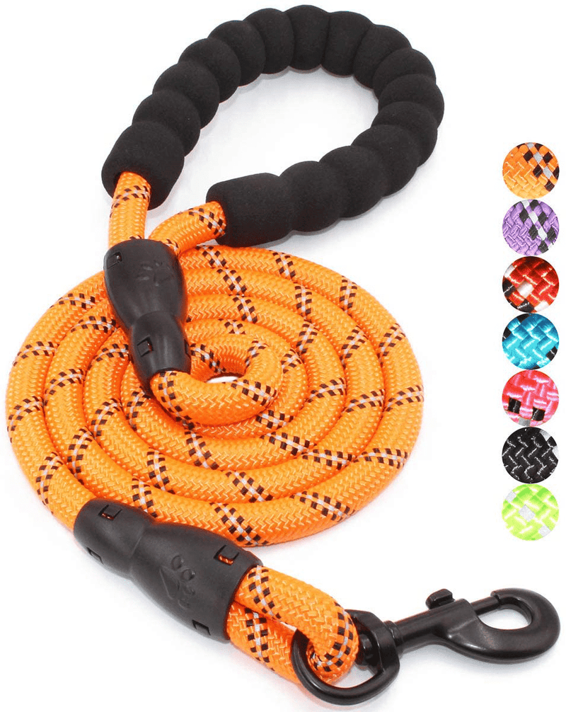 BAAPET 2/4/5/6 FT Strong Dog Leash with Comfortable Padded Handle and Highly Reflective Threads for Small Medium and Large Dogs Animals & Pet Supplies > Pet Supplies > Dog Supplies BAAPET Orange 1/2'' x 5 FT (18~120 lbs.) 