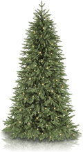 Balsam Hill Stratford Spruce 6.5 Foot Prelit Artificial Slim Full Bodied Christmas Holiday Tree with Clear White Lights, Hinged Branches, Premium Stand, Storage Bag and Protective Gloves Home & Garden > Decor > Seasonal & Holiday Decorations > Christmas Tree Stands Balsam Hill Pre-lit, White Lights 7.5 feet 