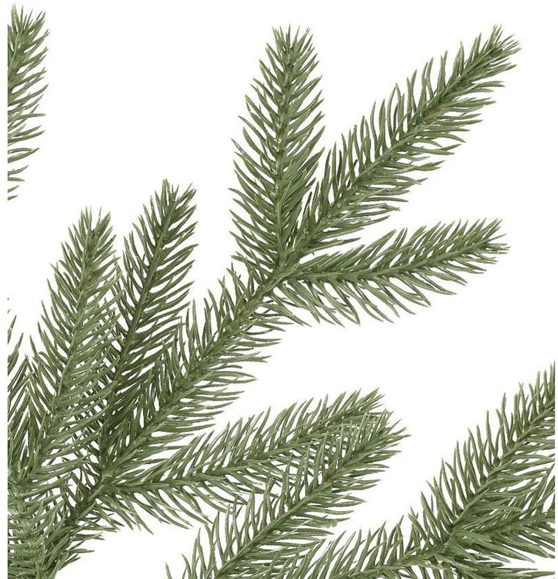 Balsam Hill Stratford Spruce 6.5 Foot Prelit Artificial Slim Full Bodied Christmas Holiday Tree with Clear White Lights, Hinged Branches, Premium Stand, Storage Bag and Protective Gloves Home & Garden > Decor > Seasonal & Holiday Decorations > Christmas Tree Stands Balsam Hill   