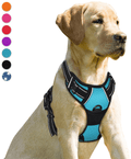 BARKBAY No Pull Dog Harness Front Clip Heavy Duty Reflective Easy Control Handle for Large Dog Walking(Blue,L) Animals & Pet Supplies > Pet Supplies > Dog Supplies BARKBAY Blue Large(Chest:27-32") 
