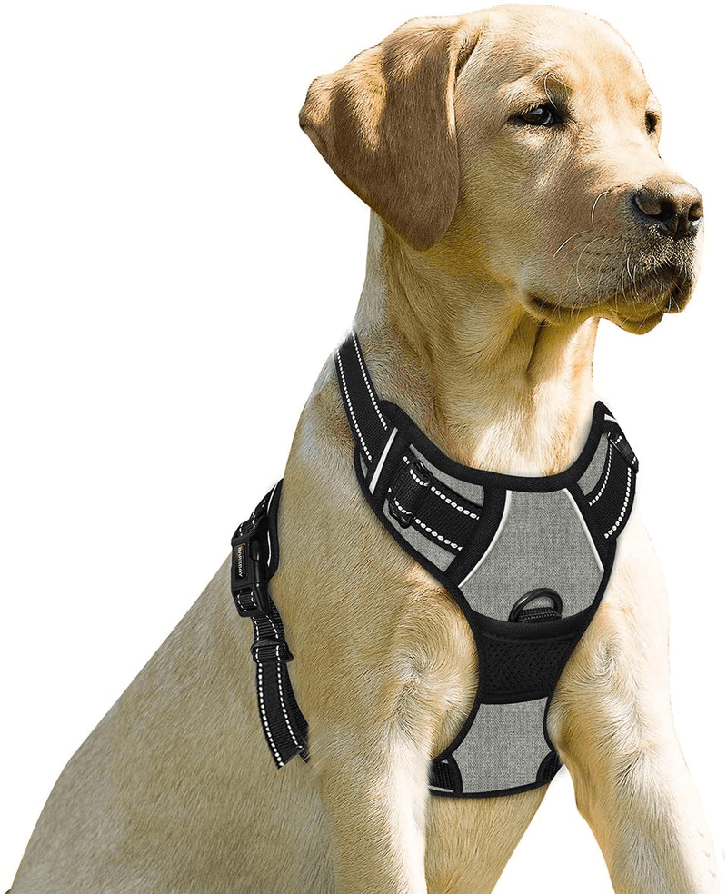 BARKBAY No Pull Dog Harness Front Clip Heavy Duty Reflective Easy Control Handle for Large Dog Walking(Blue,L) Animals & Pet Supplies > Pet Supplies > Dog Supplies BARKBAY Flint Gray Large(Chest:27-32") 