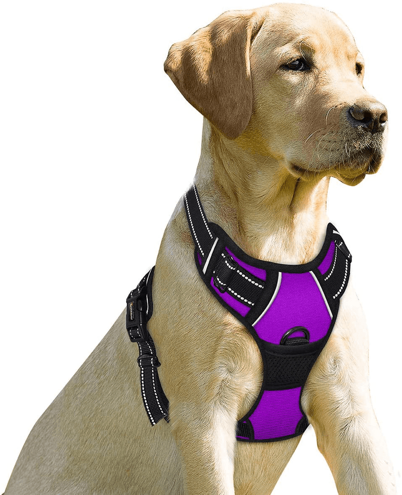 BARKBAY No Pull Dog Harness Front Clip Heavy Duty Reflective Easy Control Handle for Large Dog Walking(Blue,L) Animals & Pet Supplies > Pet Supplies > Dog Supplies BARKBAY Purple Medium(Chest:22-27") 