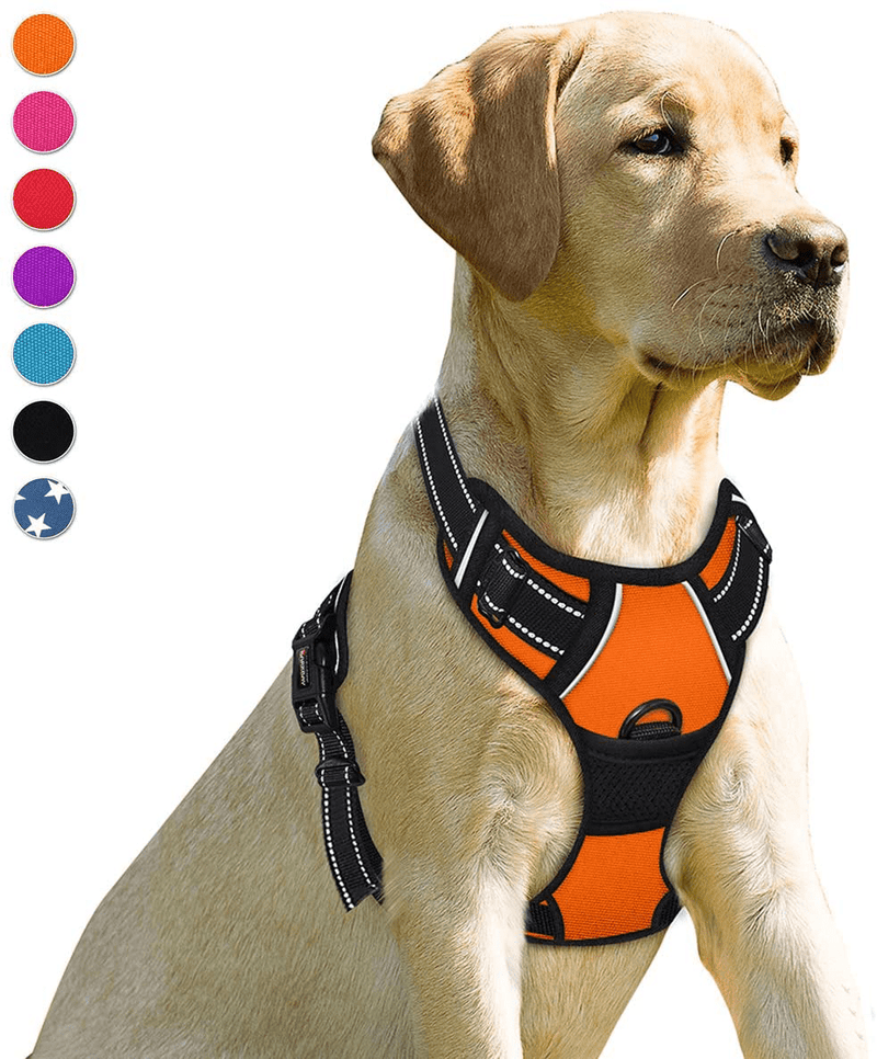 BARKBAY No Pull Dog Harness Front Clip Heavy Duty Reflective Easy Control Handle for Large Dog Walking(Blue,L) Animals & Pet Supplies > Pet Supplies > Dog Supplies BARKBAY Orange Small(Chest:17-22") 