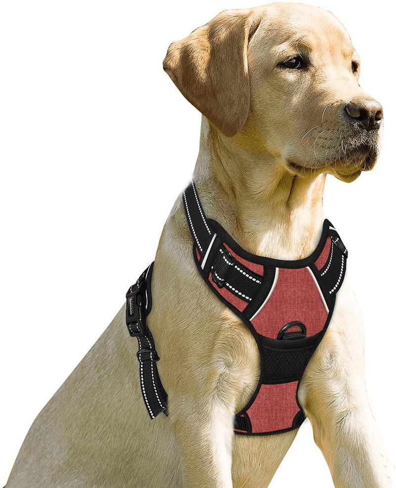 BARKBAY No Pull Dog Harness Front Clip Heavy Duty Reflective Easy Control Handle for Large Dog Walking(Blue,L) Animals & Pet Supplies > Pet Supplies > Dog Supplies BARKBAY Rio Red Small(Chest:17-22") 