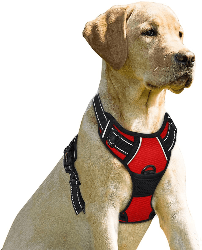 BARKBAY No Pull Dog Harness Front Clip Heavy Duty Reflective Easy Control Handle for Large Dog Walking(Blue,L) Animals & Pet Supplies > Pet Supplies > Dog Supplies BARKBAY Red X-Large(Chest:31-38”) 