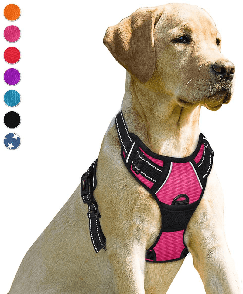BARKBAY No Pull Dog Harness Front Clip Heavy Duty Reflective Easy Control Handle for Large Dog Walking(Blue,L) Animals & Pet Supplies > Pet Supplies > Dog Supplies BARKBAY Pink Small(Chest:17-22") 
