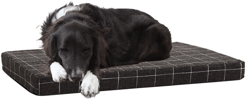 Barkbox Memory Foam Platform Dog Bed, Plush Mattress for Orthopedic Joint Relief, Machine Washable Cuddler with Removable Cover and Water-Resistant Lining, Includes Squeaker Toy  Barkbox Black Windowpane Large 