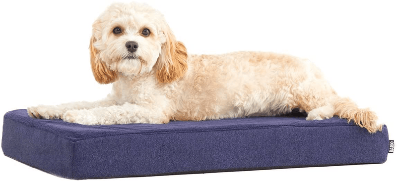 Barkbox Memory Foam Platform Dog Bed, Plush Mattress for Orthopedic Joint Relief, Machine Washable Cuddler with Removable Cover and Water-Resistant Lining, Includes Squeaker Toy  Barkbox Navy Small 