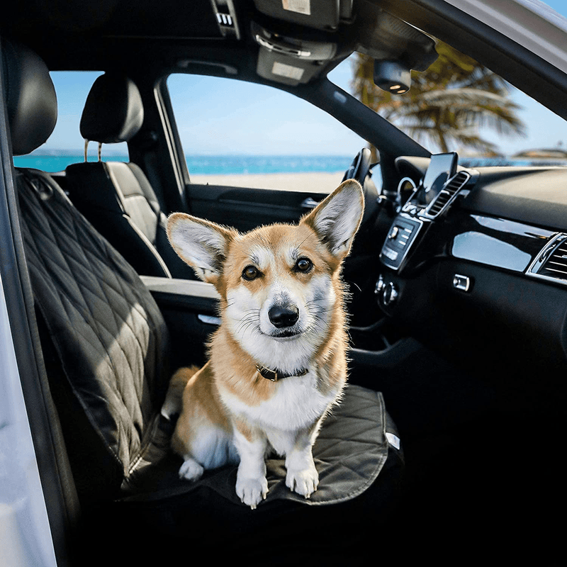 BarksBar Pet Front Seat Cover for Cars - Black, Nonslip Backing with Anchors, Quilted, Padded, Durable Pet Seat Covers for Cars, Trucks & SUVs Vehicles & Parts > Vehicle Parts & Accessories > Motor Vehicle Parts > Motor Vehicle Seating BarksBar   