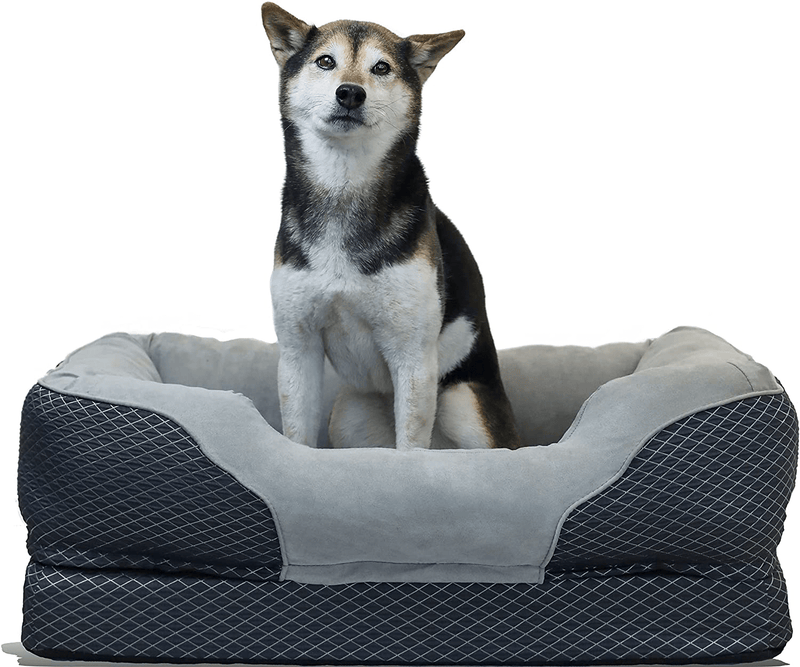 Barksbar Snuggly Sleeper Large Gray Diamond Orthopedic Dog Bed with Solid Orthopedic Foam, Soft Cotton Bolster, and Ultra Soft Plush Sleeping Space - 40 X 30 Inches Animals & Pet Supplies > Pet Supplies > Dog Supplies > Dog Beds BarksBar Medium 32" x 22"  